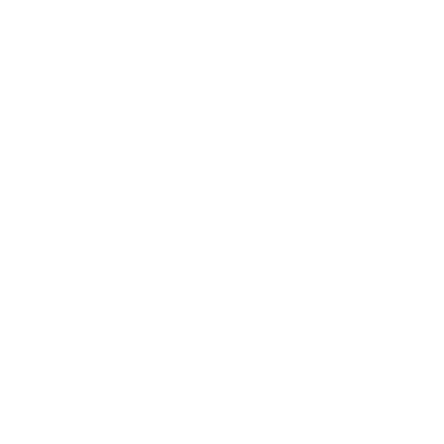 高水平的糾紛處理能力